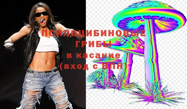 каннабис Арсеньев