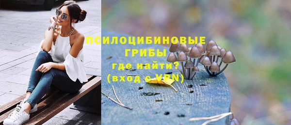 apvp Аркадак