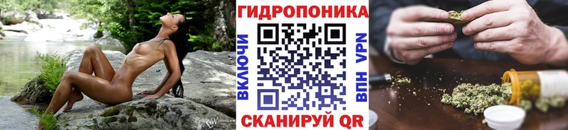 где можно купить наркотик Ясногорск Конопля ГИДРОПОН